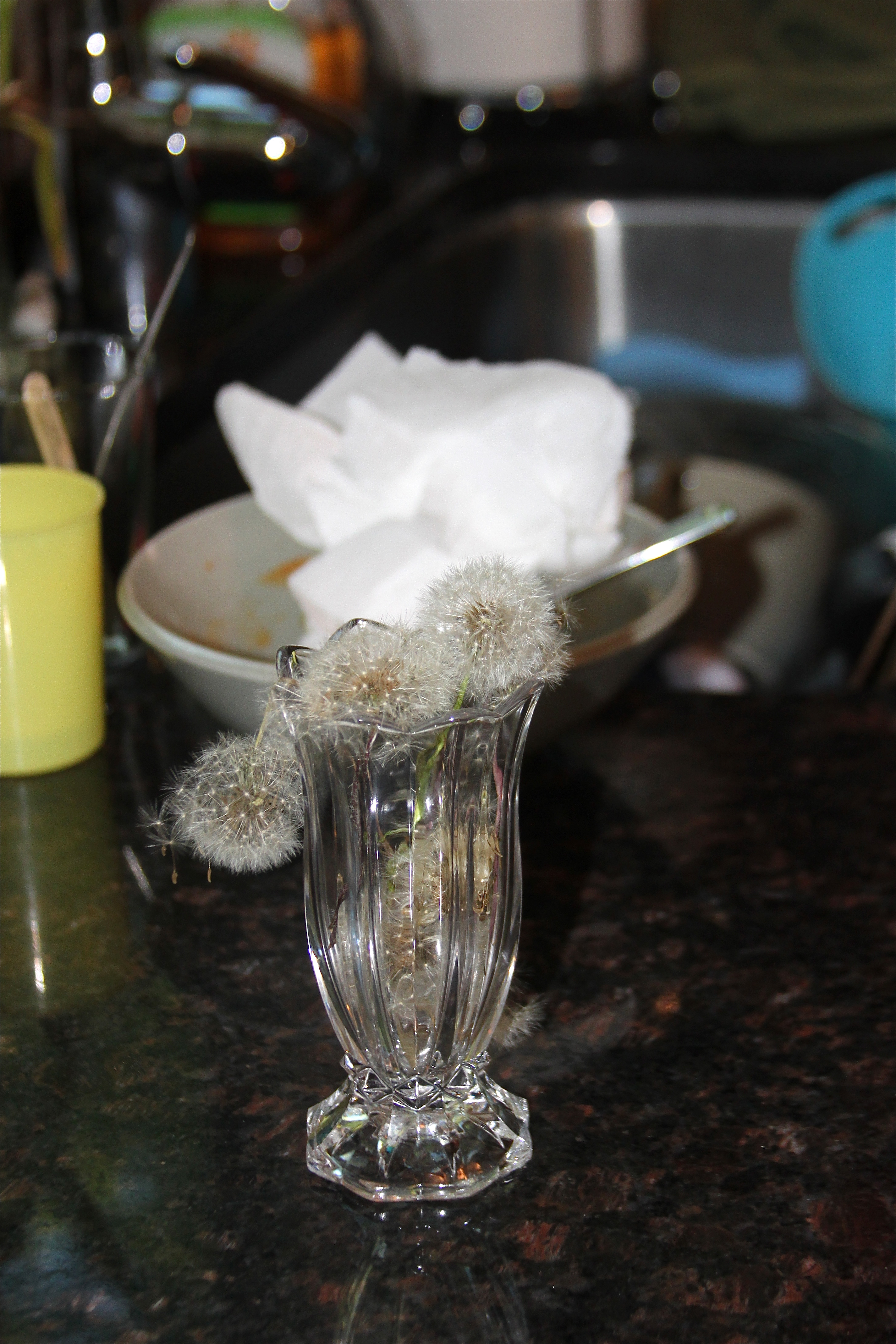 letmestartbysayingblog.com-dandelions
